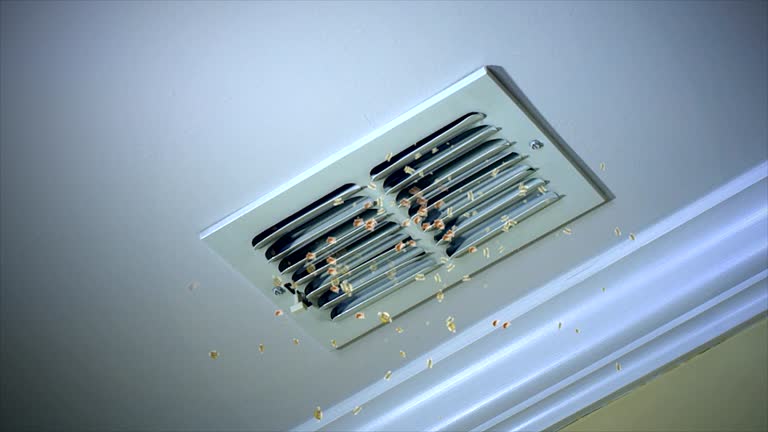 Best Affordable Duct Cleaning Services  in Glenview, IL